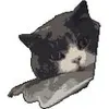 boxu
