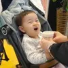 蜜大宝