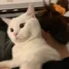 张韵Frieda
