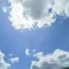 王秦君 13816435268 王秦君 13816435268