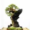 王飞-1334450