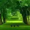 无言终点