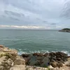 飞猪大哥
