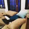 南极没有熊 南极没有熊