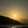 老大-1373282