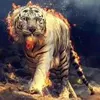 路缠绵-1372833 路缠绵-1372833