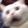 抒-1323734