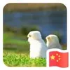 李志欢-1372227