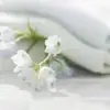 集约-1320975 集约-1320975
