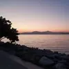 林伟程-1339212 林伟程-1339212