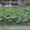 123654789
